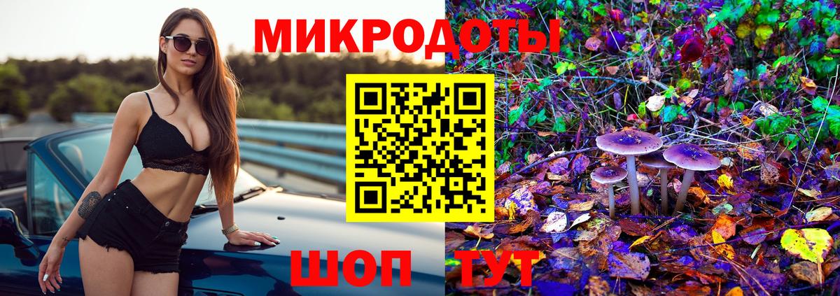Псилоцибиновые грибы ЛСД  где продают   Камышин  Вход с VPN 